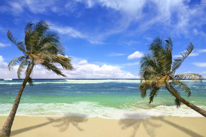 Hepatitis A Outbreak in Hawaii