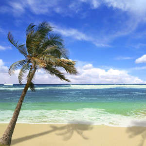 Hepatitis A Outbreak in Hawaii 