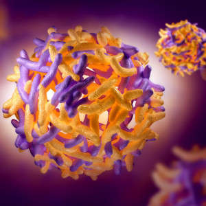 Yellow Fever Outbreak and Vaccine Shortage