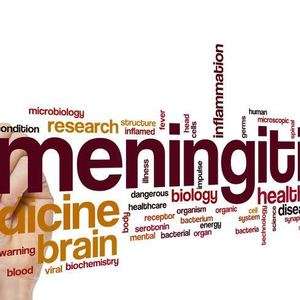 Could Meningitis Be Eradicated in the Near Future?