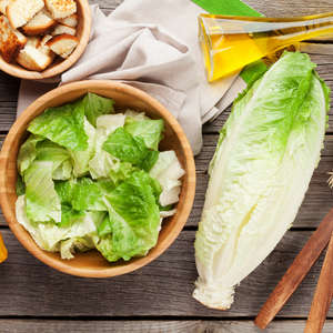 The Dangers of Foodborne Illnesses: E. Coli Virus and Cholera