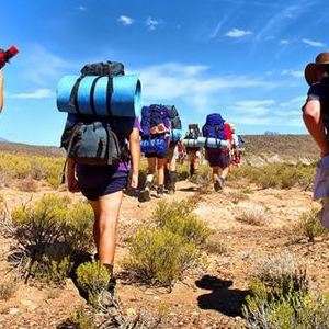 East Africa on Yellow Fever Alert