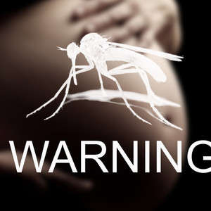 Clinical Trials of a Zika Vaccine to Begin